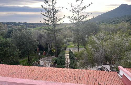 GardenRocks - Foto 14