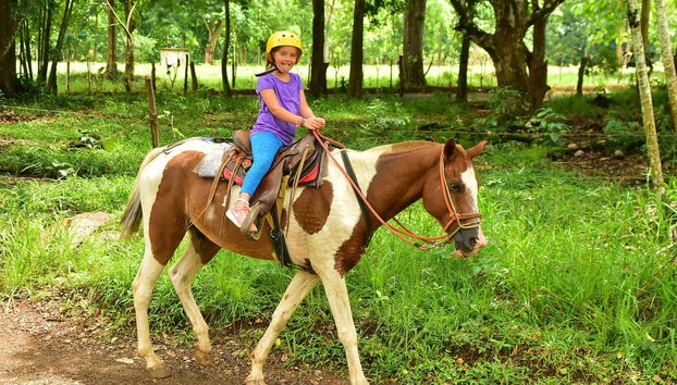 Horseback Riding in the Jungle - Foto 3