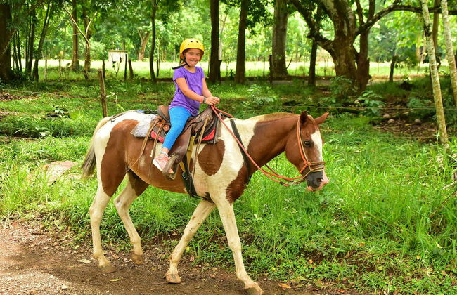 Passeio a cavalo pela selva tropical - Foto 3