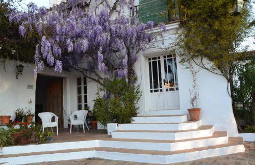 Las Navezuelas - Photo 13