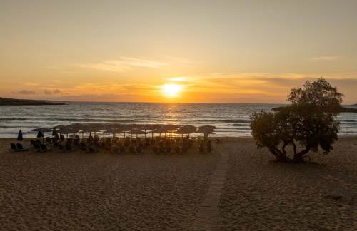 Mons Villa - Photo 36