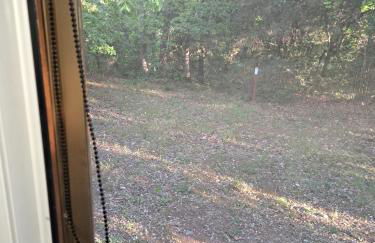 casa con bosco e vista mare - Foto 47