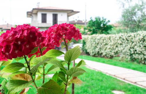 Sirmione ' s Flower- CIR 017179-CNI-00423 - Foto 15