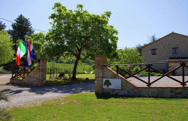 Holiday Home in Pietrafitta Near Lake Trasimeno - Photo 34
