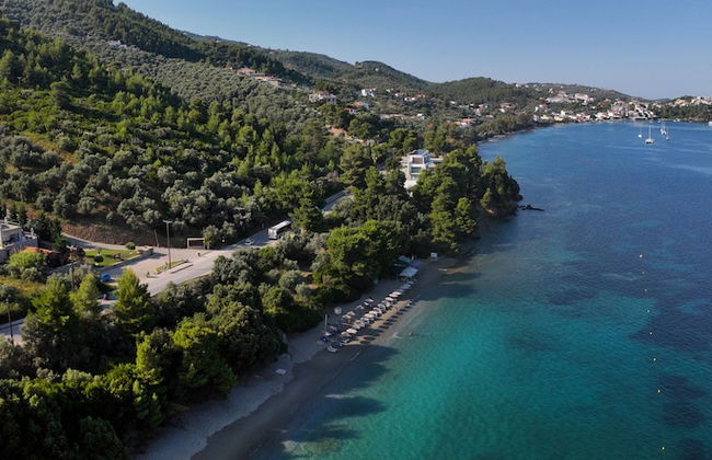 Golden King - Foto 49