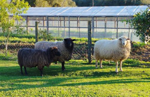 Boqueirão Hotel Fazenda - Foto 56