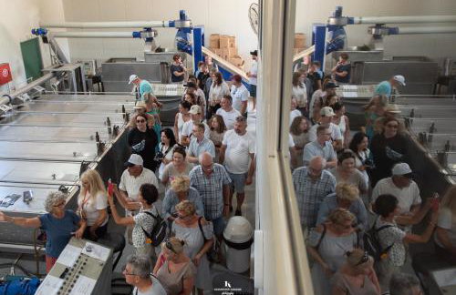 Giannakos Apartments - Foto 47