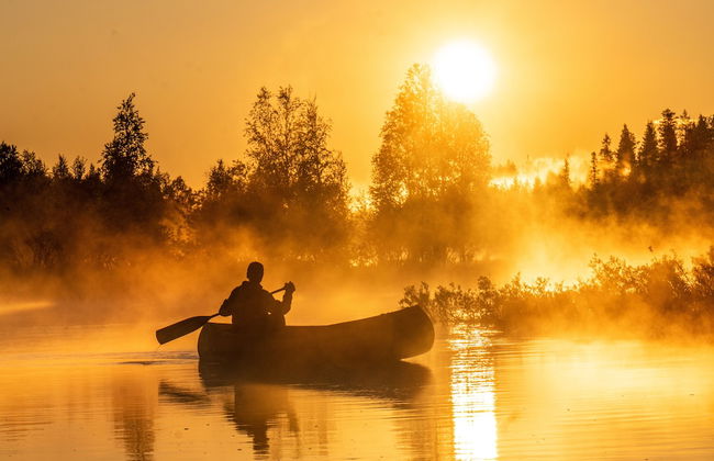 Metsä Kolo - Photo 38