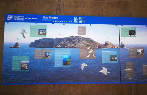 L´Estartit, estudio en primera linea de mar. - Foto 20