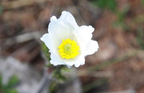 les Gites de l’E.D.E. - Photo 34