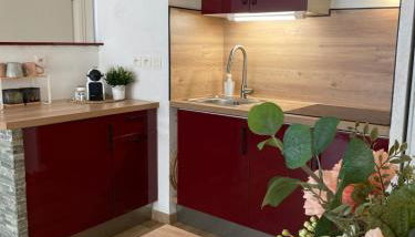 Le Spot Niçois - Foto 5