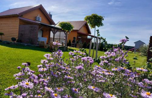 Domki Lawendowy Zakątek - Foto 6