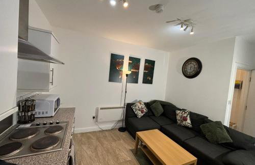 Orchard Court Spacious one bedroom apartment with extra sofa bed - Foto 15