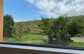 Renoviertes Haus am Sommerdeich - Photo 19