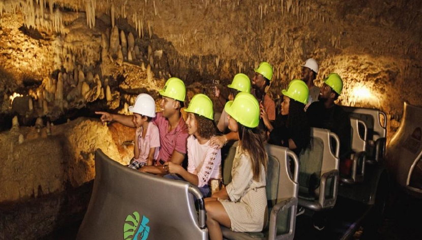 Aventure Artisanale, Grottes et Nature de la Barbade - Excursion d'une demi-journée - Photo 2