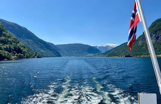 Boat Trip on the Barsnesfjorden & Årøy River - Photo 4