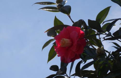 Alojamentos Casa Facha Menta - Foto 22