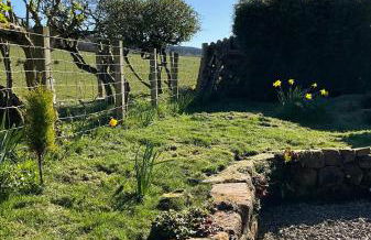 Heron Lodge, edge of Mabie Forest Dumfries - Photo 42