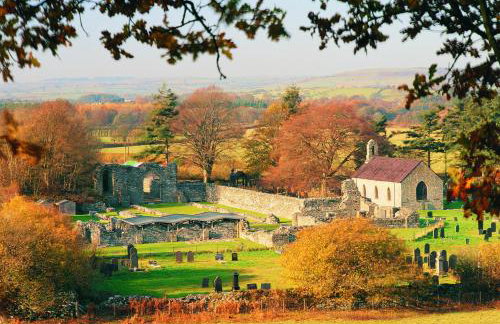 Bryn Isaf Tregaron - Foto 21