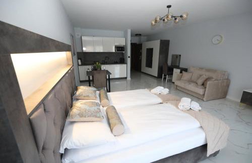 Katowice Apartamenty Hetmańska 4 - Foto 23