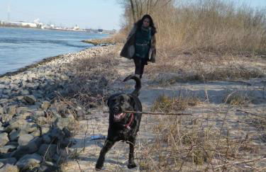 Gästehaus Chateau d‘Orsay - Foto 44