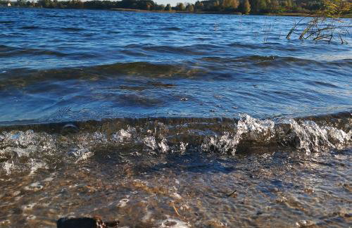 Brzozowe Ostrowie - Foto 28