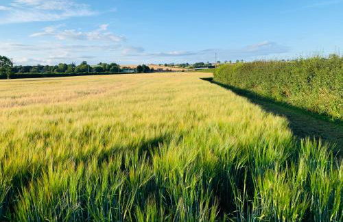 Boundary Cottage - Foto 13