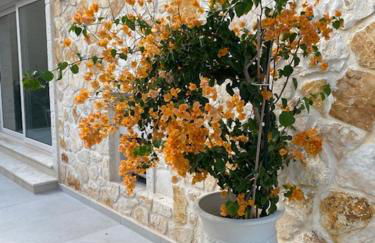 Luxury Seaside Villa DARL - Foto 5