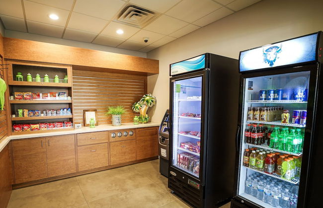 Entire Studio With Free Shuttle to Disney - Foto 34