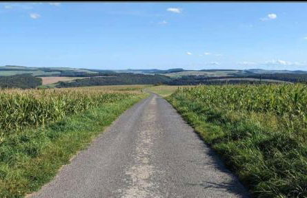 Ferienhaus Pauline am Glan - Foto 41