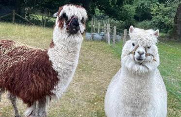 Spout House Studio - Photo 39