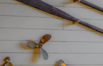 Fazenda Góes - Foto 26