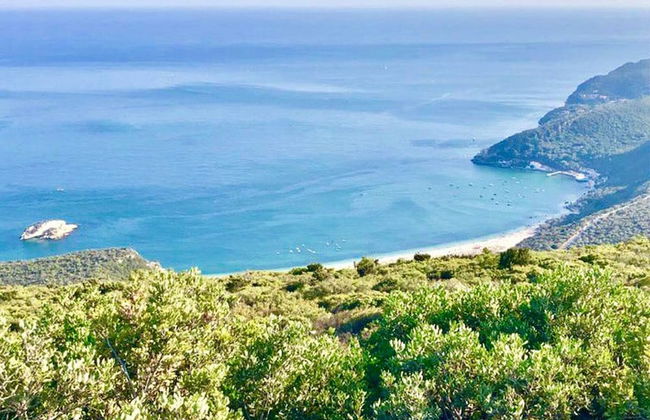 Villa Of Cedars Spirit, Garden Pool - Foto 52