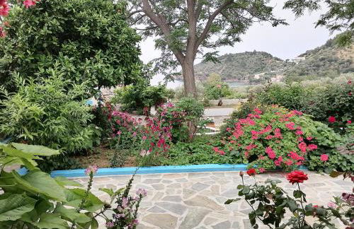 Studios Ioanna Limnionas Samos - Foto 71