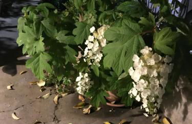 La Casa di Zia Rita - Foto 19