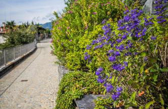 Maison Casa Lavanda - Foto 15