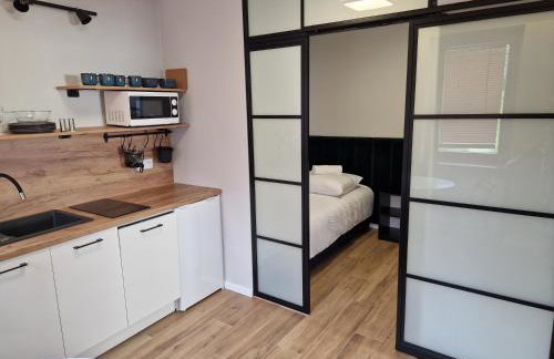 Apartamenty-Dom Pod Sosną - Foto 48