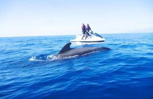 Ocean View Elegant Magic Apartment - Foto 33