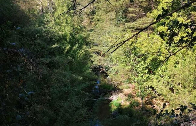 Cabañas El Rincón De La Paito La Placeta - Foto 27