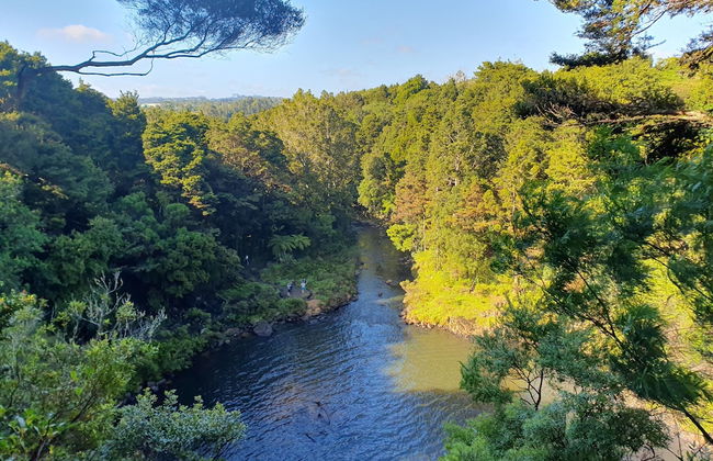 Kerikeri Park Lodge - Foto 72