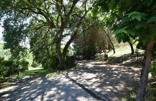 Villa Siena - Foto 53