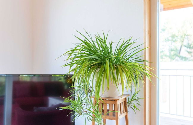 Tranquil Holiday Home in Winsen near River - Foto 27