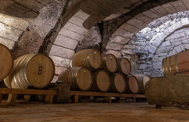 Visita a la bodega Bruneo - Foto 1