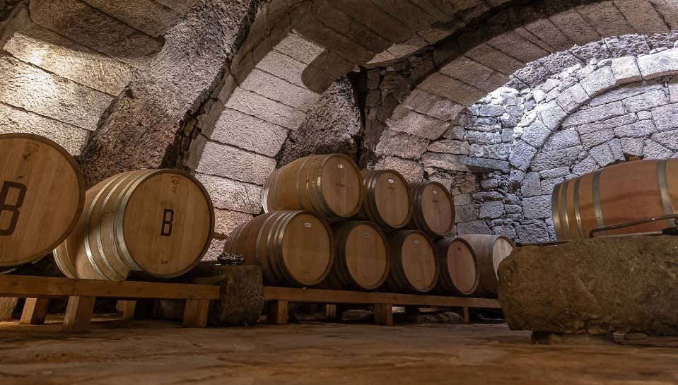 Visite du domaine Bruneo