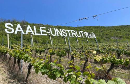 Ferienwohnung Könitz, Ilschen - Foto 39