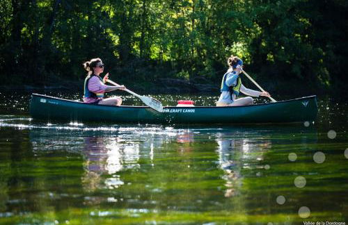 Manoir du Boscau, Louis IX - Foto 28
