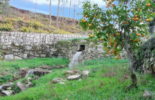 Charming House in Covelas with Shared Pool - Foto 37