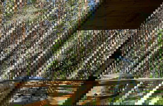 Metai Miške&a Year in the Forest - Photo 17