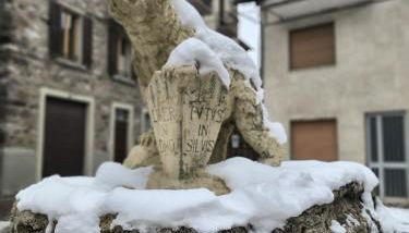 BROWN DOLOMYTE Apartment - Foto 4