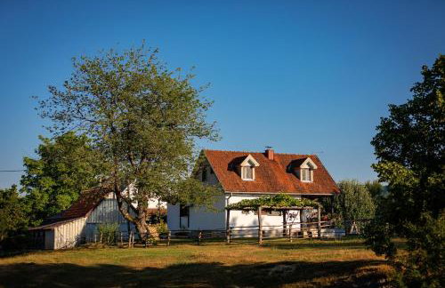 Farmstay Kotić - Foto 11